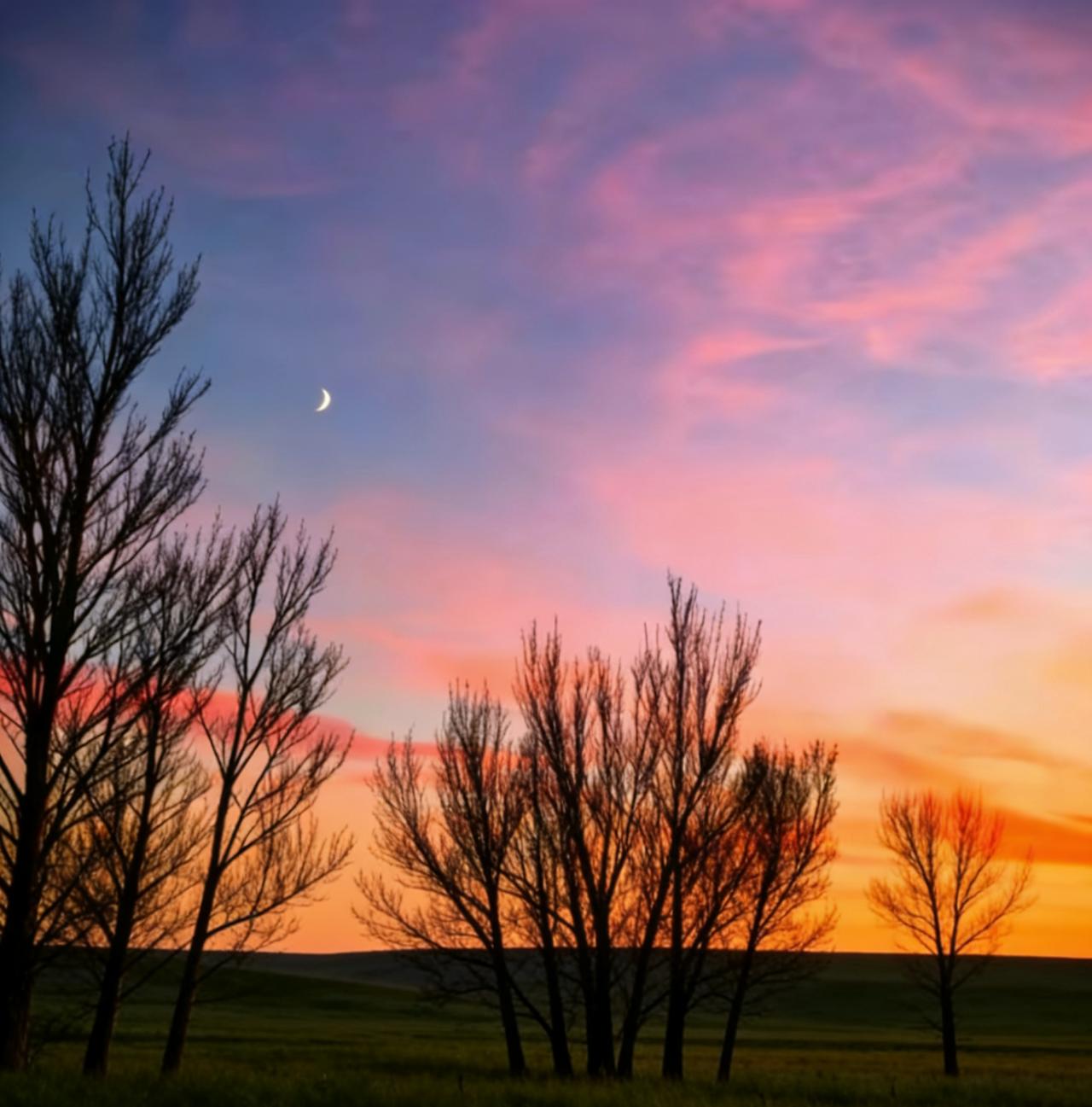 分享一下你随手拍下的照片