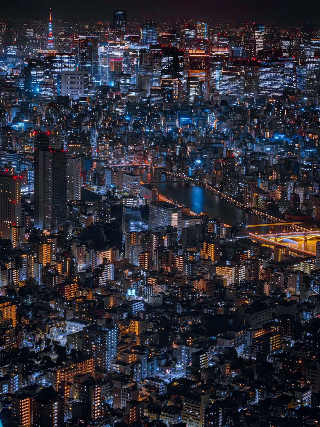 迷人的东京夜景