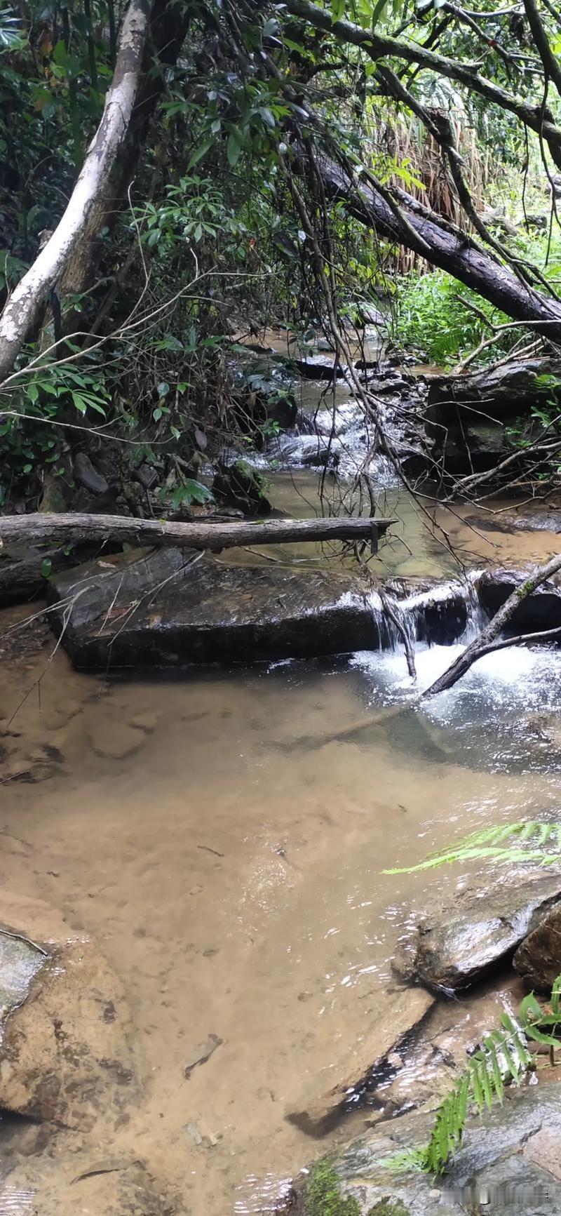 智慧

问渠那得清如许？为有源头活水来！
如果是一潭死水，必定有原因有理由！
不