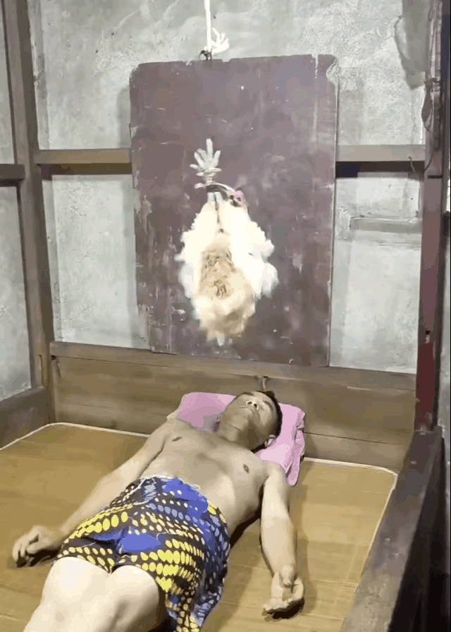 这哥们倒舒服了，看把鸡给累的。