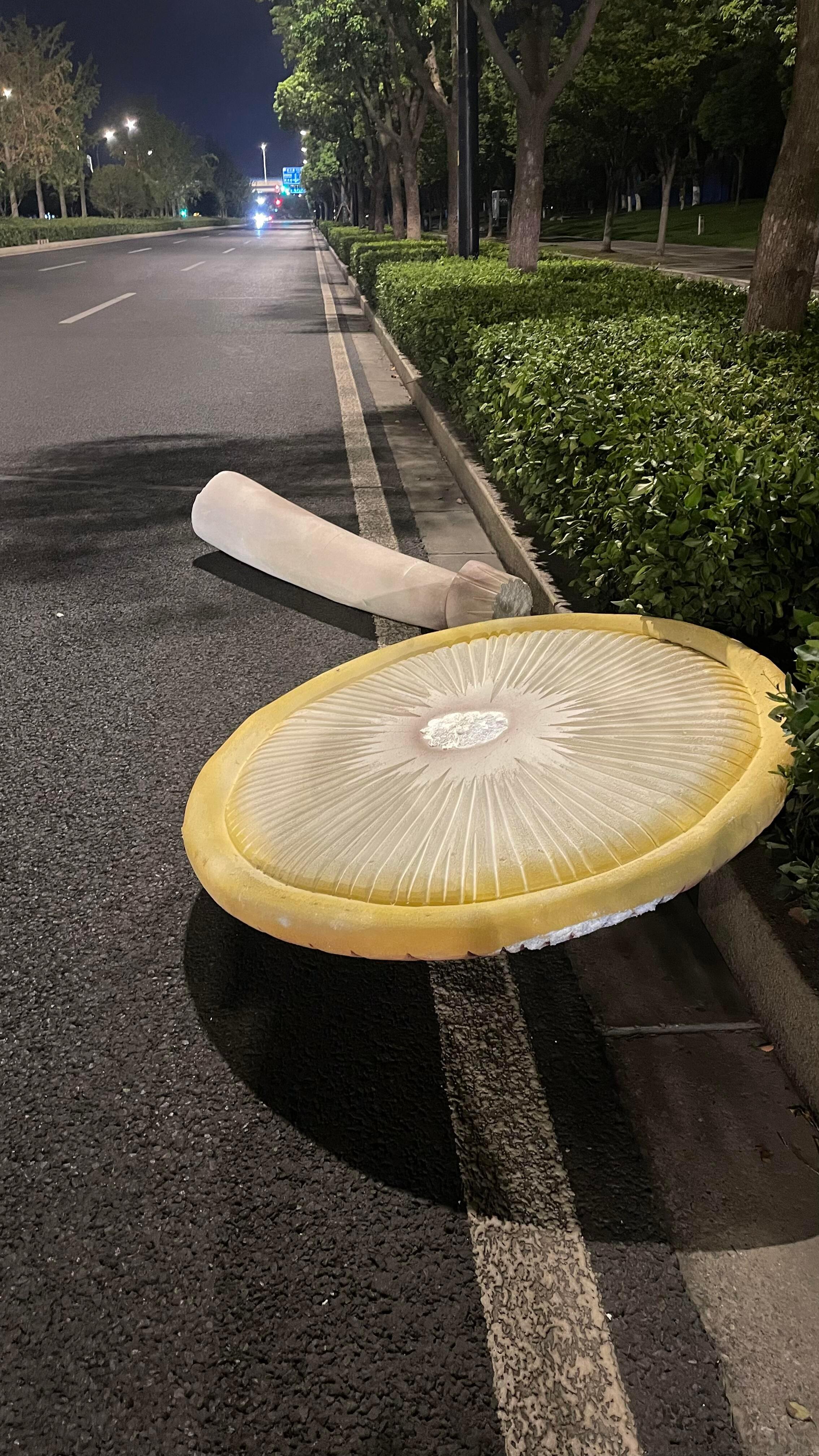 原来真的有天上掉馅饼我的幽默灵感片场全网热点共创计划