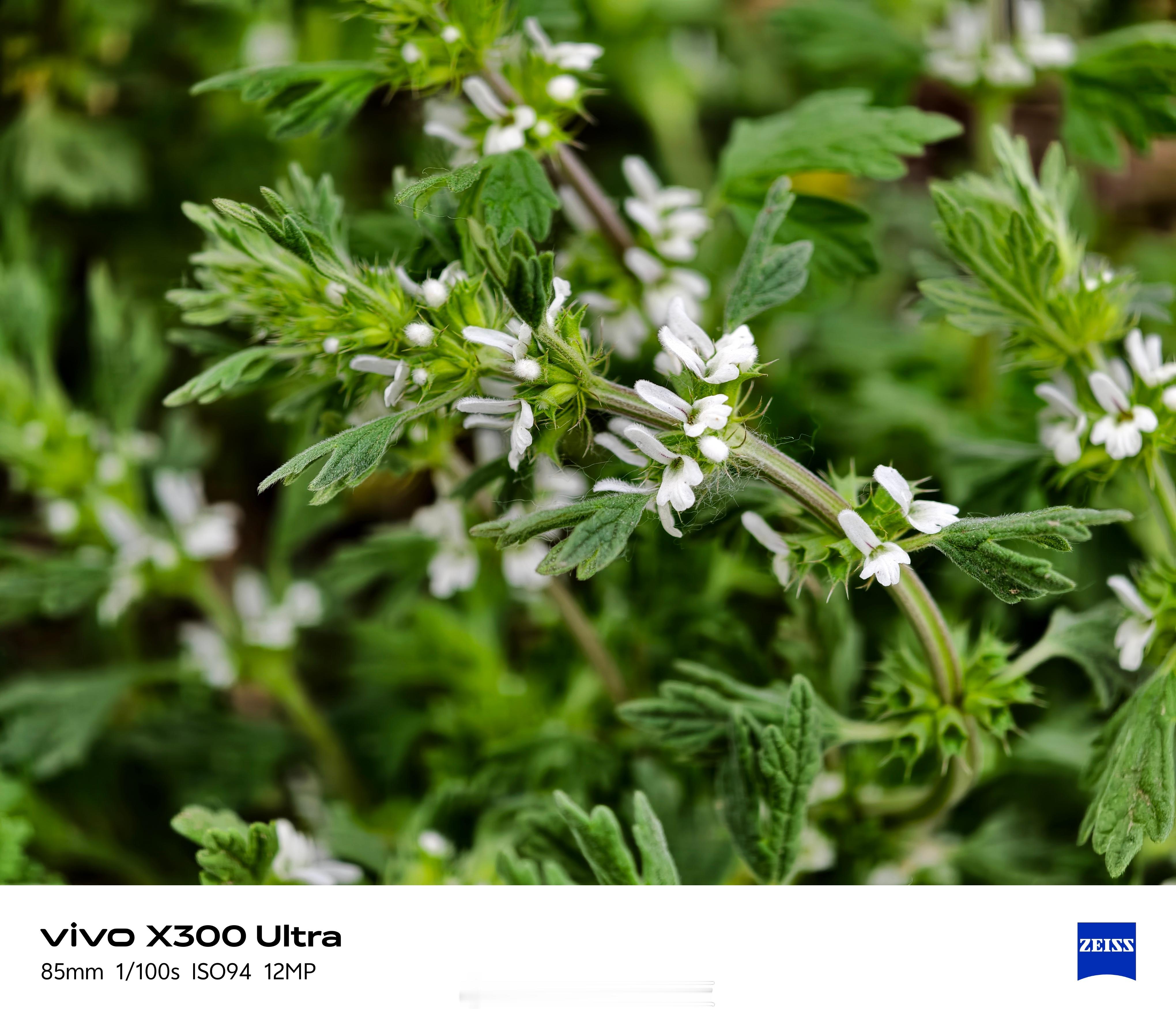 vivo X300 Ultra vs X200 Ultra！两代影像旗舰85mm