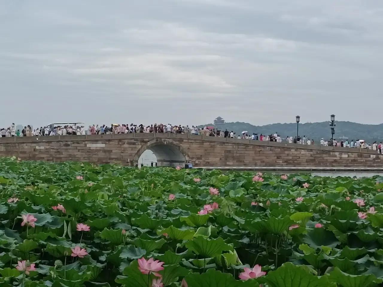 断桥相传是许仙和白娘子相会的地方。断桥位于杭州北里湖和外西湖的分水点上，一端跨着