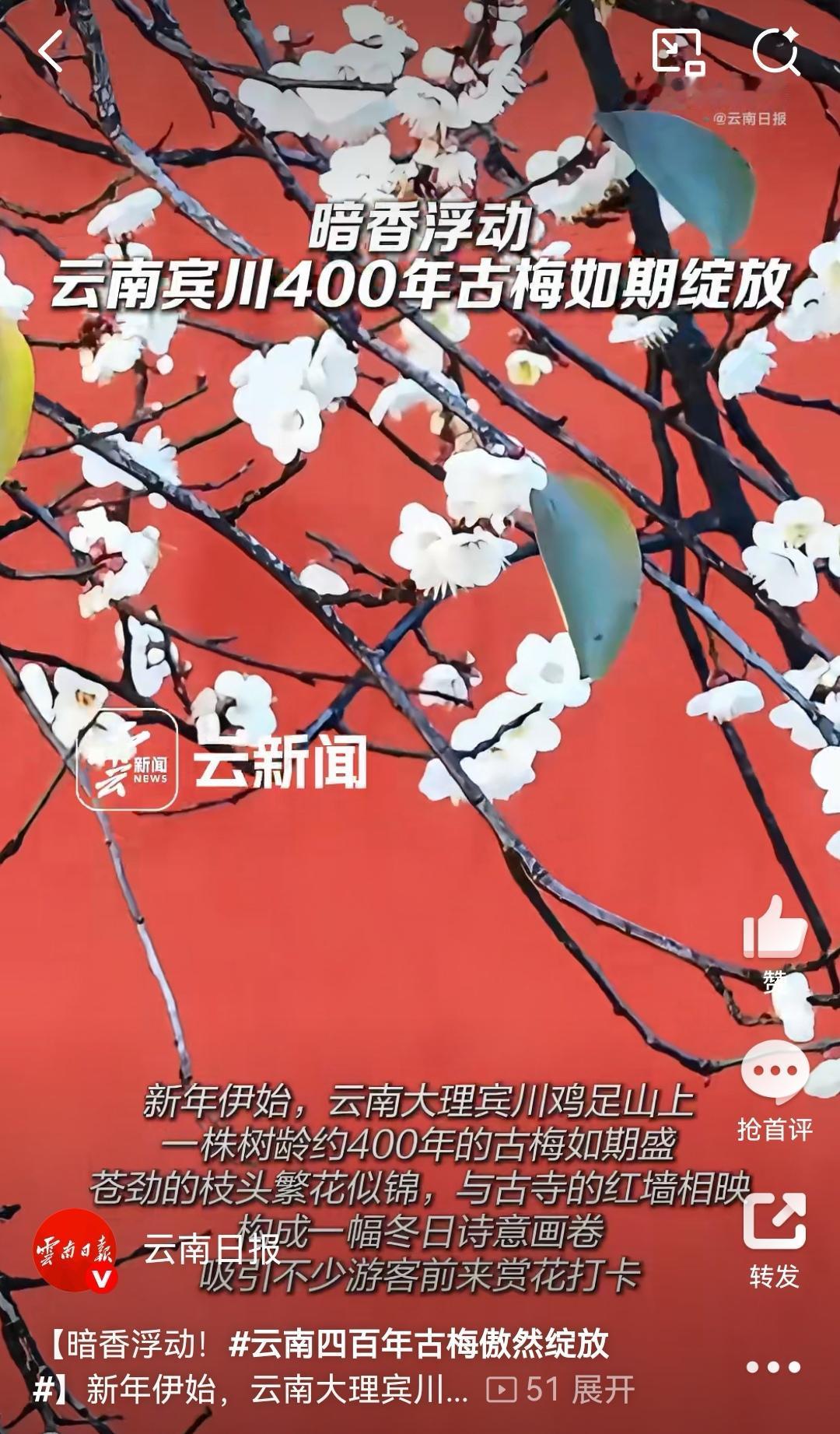 新年去云南大理宾川鸡足山游玩，真的被那株400年古梅惊艳到了！

[送自己一朵花