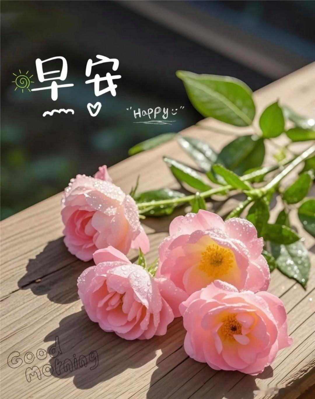 早安[超话] 早安。崭新的一日，不必慌慌张张奔赴，从容度日，满心热忱。将烦恼封存