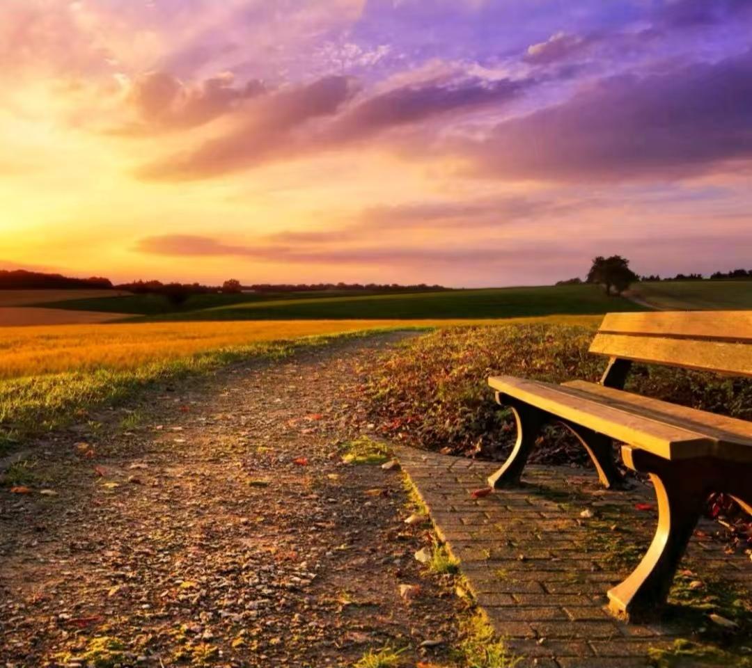 霞光雖然短暫，
但是真的很美。
🌹🌹🌹