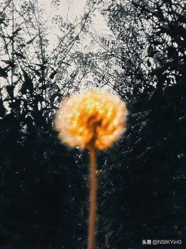 生活明朗，万物可爱，人间值得，未来可期。