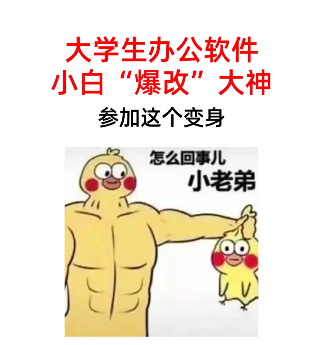 大学生办公软件小白“爆改”大神！立即变身