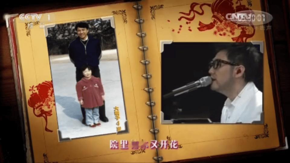 王铮亮上一个马年唱的是时间都去哪儿了 时光流转，感动依旧。王铮亮的上一个马年舞台