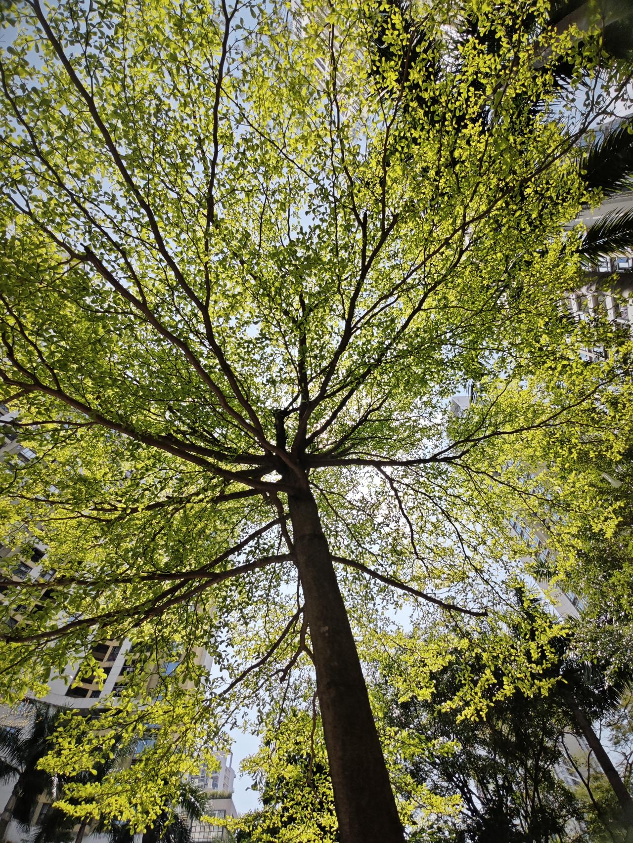 给全国大学硕士博士研究生导师的几点建议，真的很重要！
1，教育应当向阳而生，教育