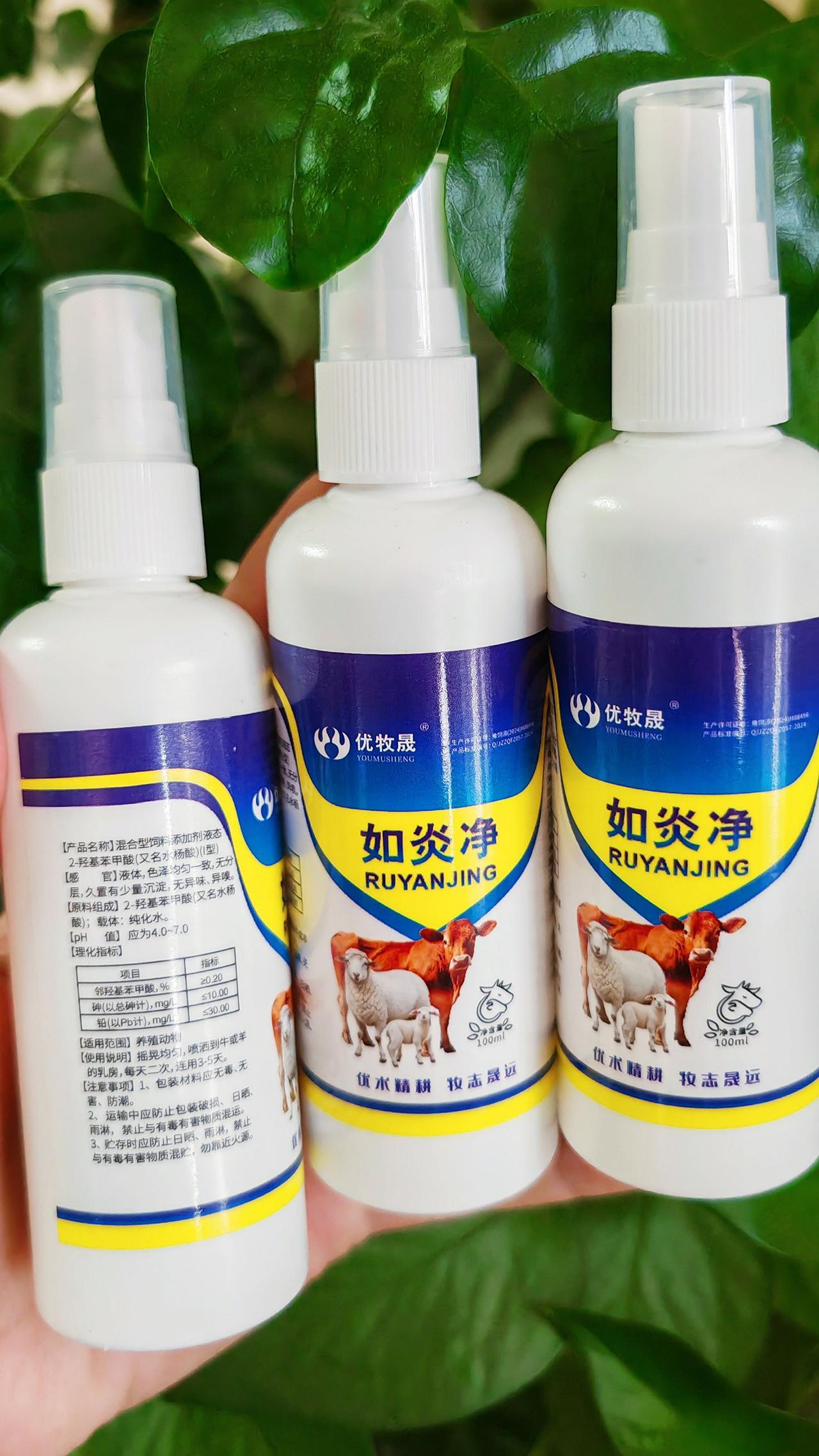 养羊人 牛羊养殖 农村养羊