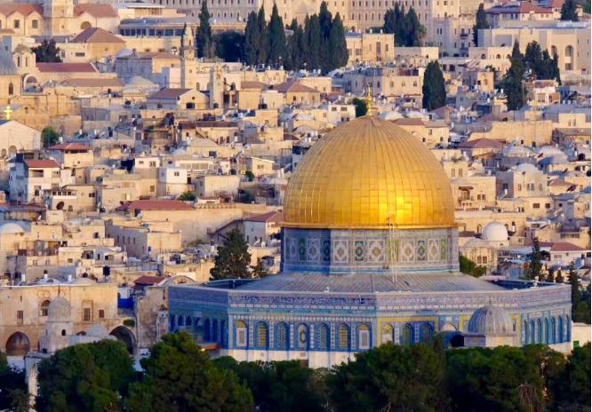 多个伊斯兰国家对以色列发出了谴责！对于以色列公然违反国际法的行径，各国外长对以色