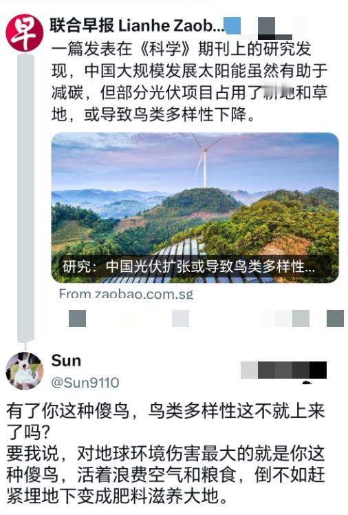 新加坡媒体批评中国新能源，称这会导致鸟类消失，却遭到中方网友神回复！

新加坡《
