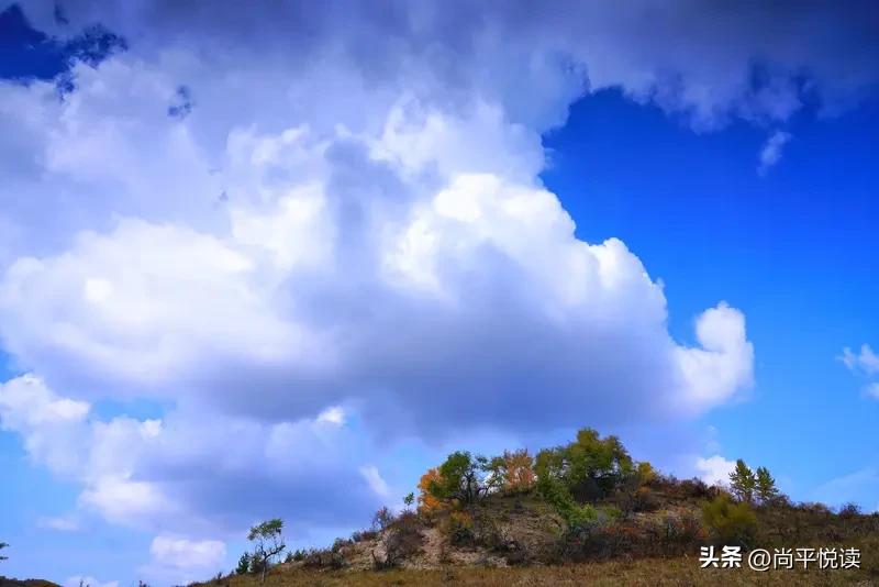 上联：春树丛丛萦草泽
下联：秋云片片绕山梁

[微风]解析：
 “秋”对“春”（