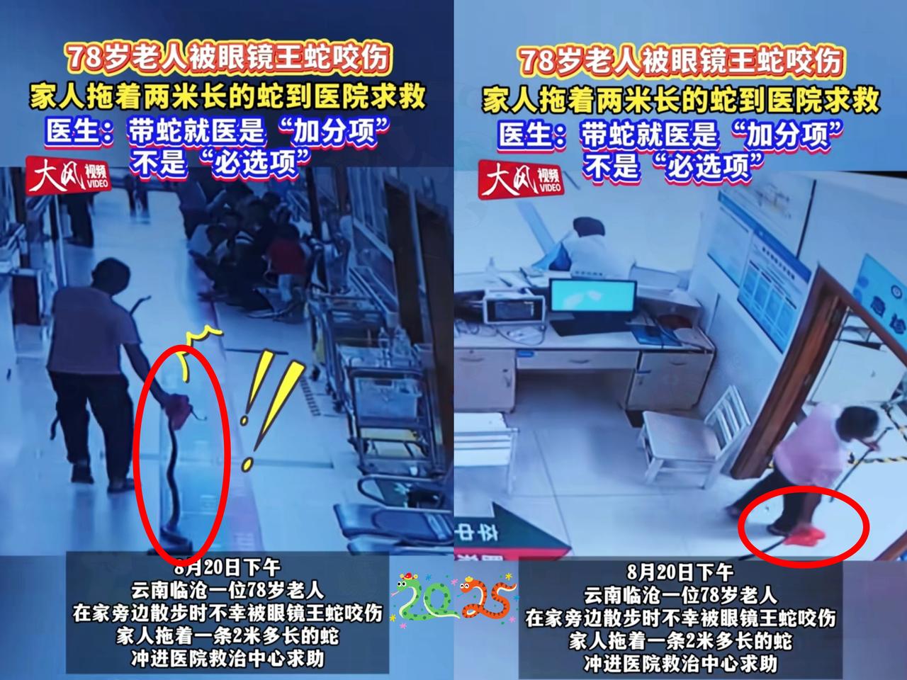 原来《农夫与蛇》的戏码真会在现实上演！
8月23日，央视新闻报道云南临沧这位78