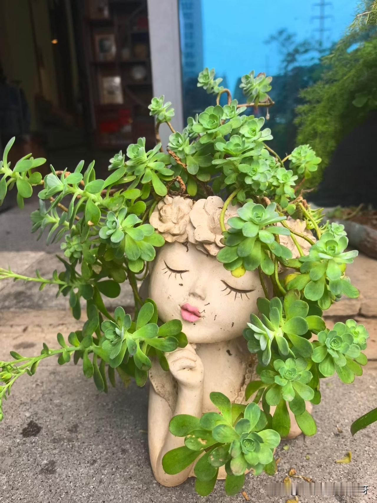 你们知道吗
昨天我写了五篇
总阅读量才75
平均每篇阅读量15
像我这样子的已经