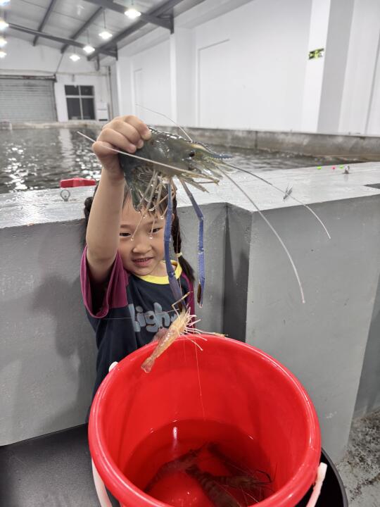 当然是自己钓的虾🦐比较好吃啦❗