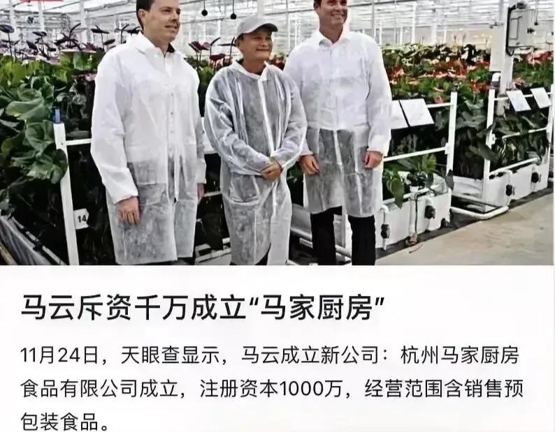 马云又瞄准了一个新赛道，成立了一家叫马家厨房的食品公司，正式进军预制菜领域。马云