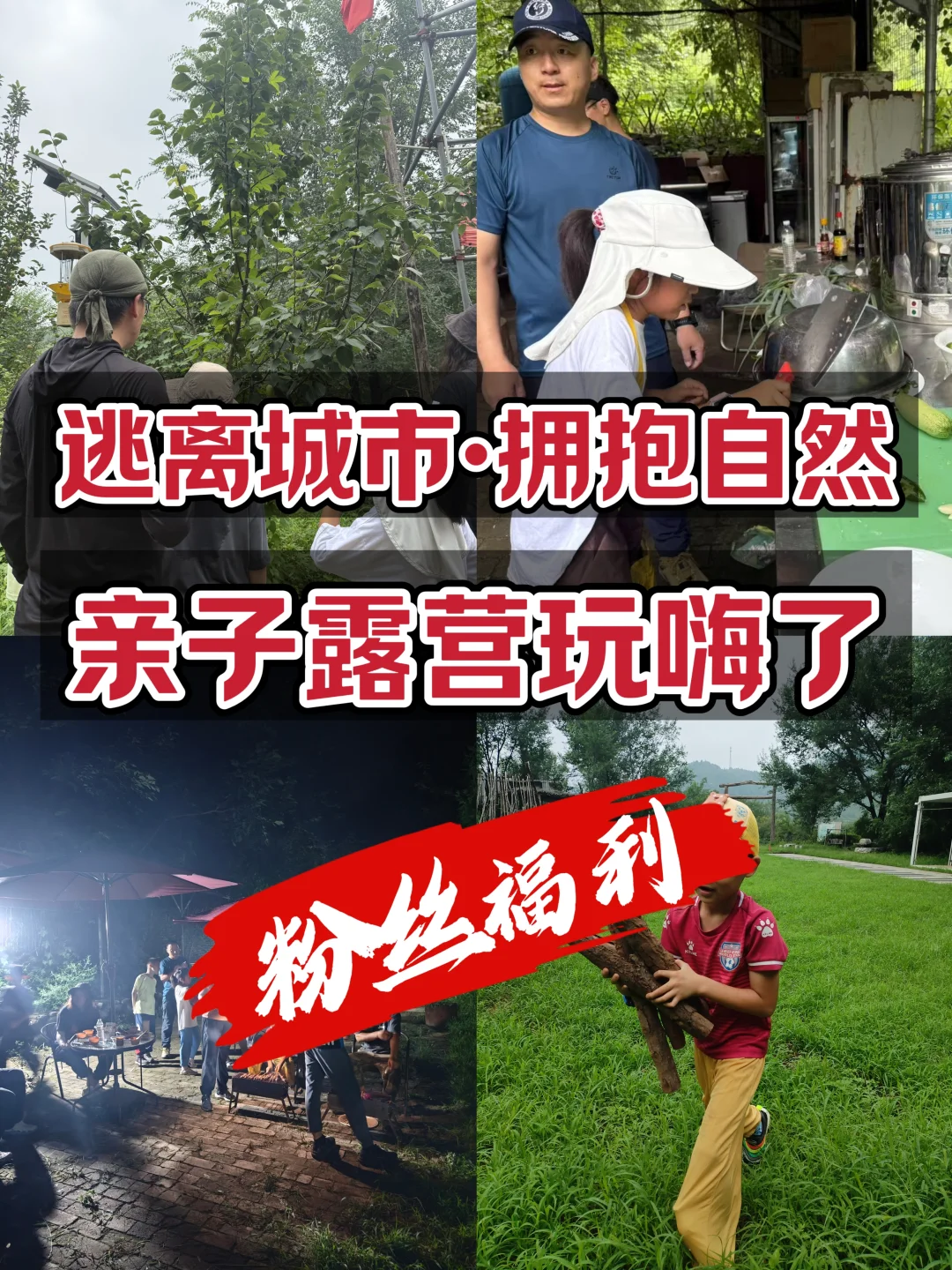 【粉丝福利】这次组织亲子露营，玩嗨啦！