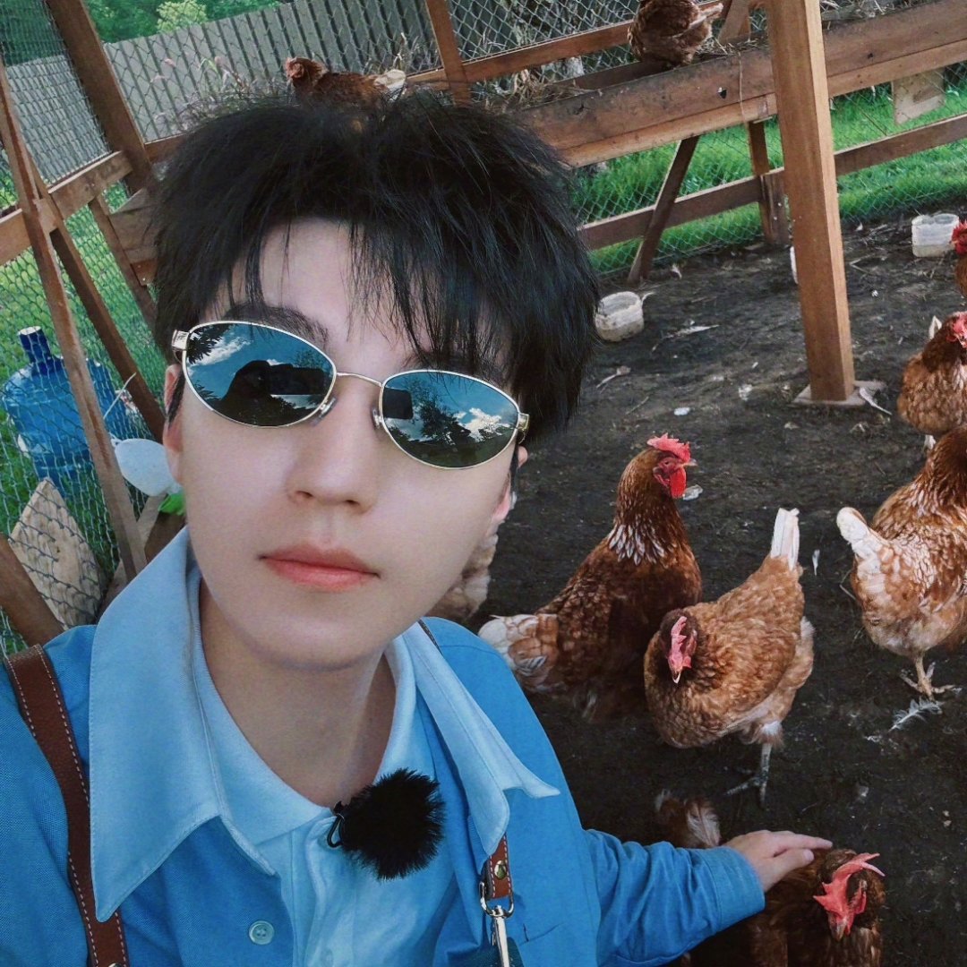 王俊凯 中餐厅10 有种“俊凯在自拍，这只🐥跑来黏着俊凯不走，俊凯无奈摸摸安抚