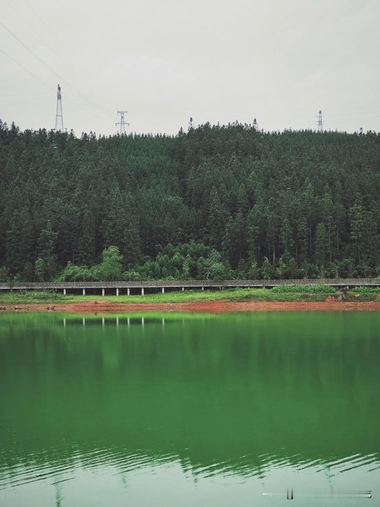 去顺昌玩咯～
偶然发现的小水库--北门水库，好适合散步泡茶拱趴，环境还是挺不错的