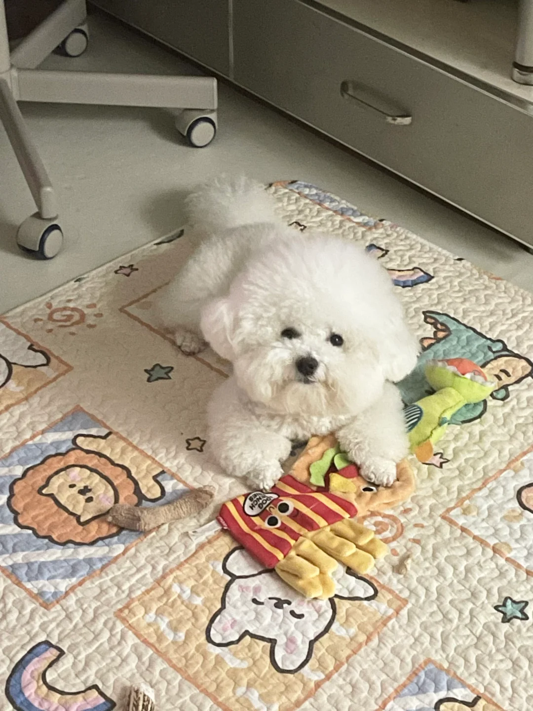 这是我最喜欢的玩具！