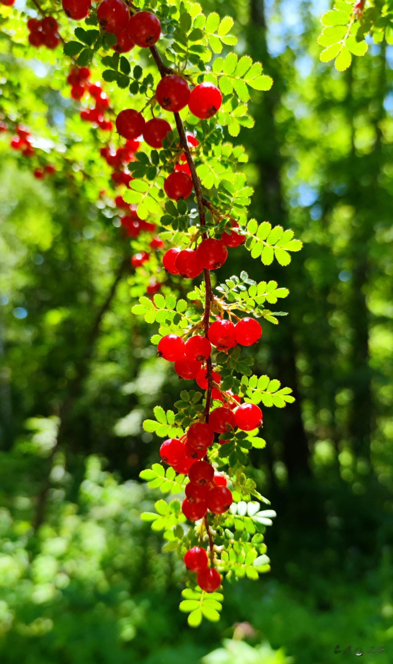 励志，别倒下！

瀑布之所以壮观，是因为它没有退路。

种子被埋进黑暗，不是为了