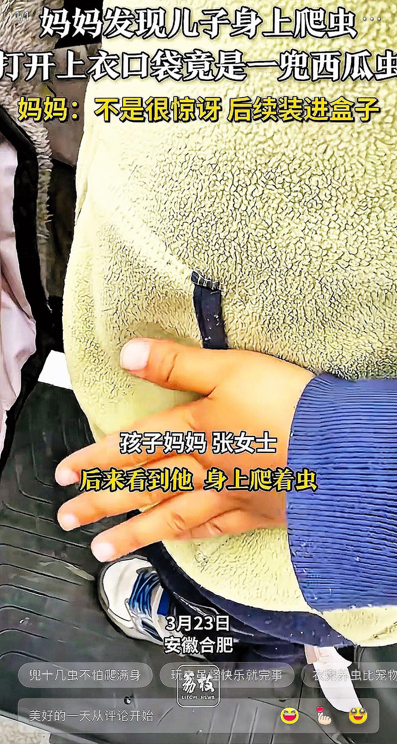 万万没想到！安徽合肥，女子发现孩子衣服上有虫子爬，她过去找了半天，最后掀开衣兜一
