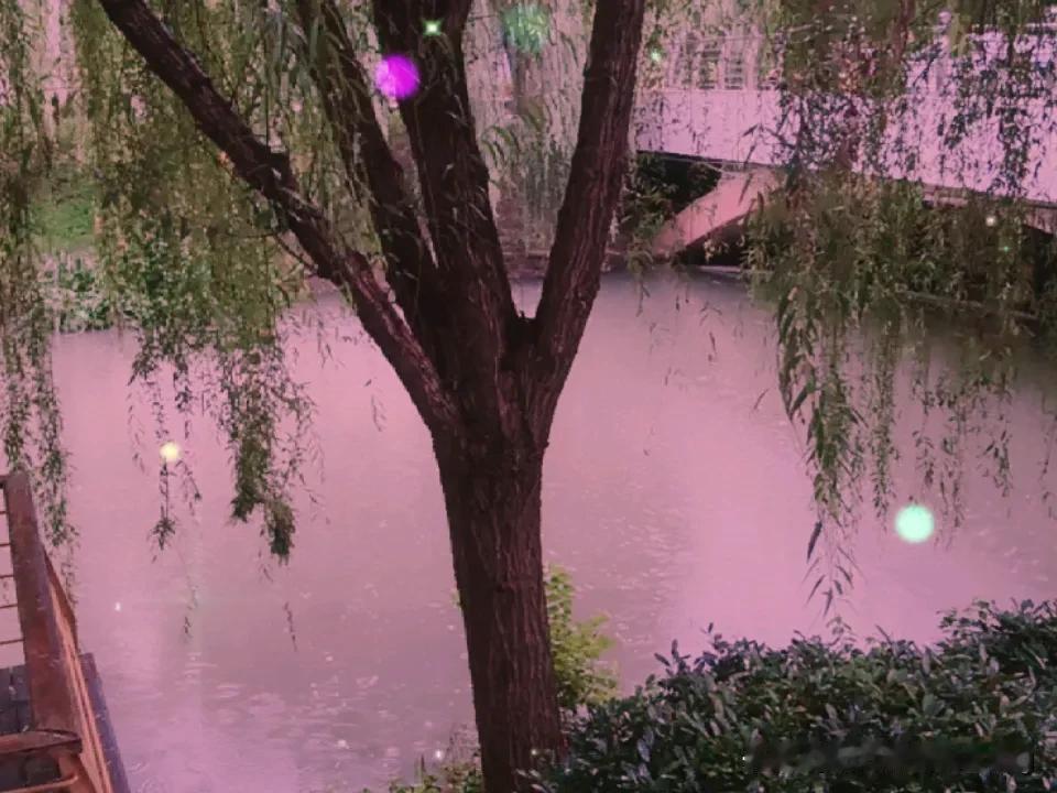 夏日生活打卡季雨中的湖溪河小桥流水。