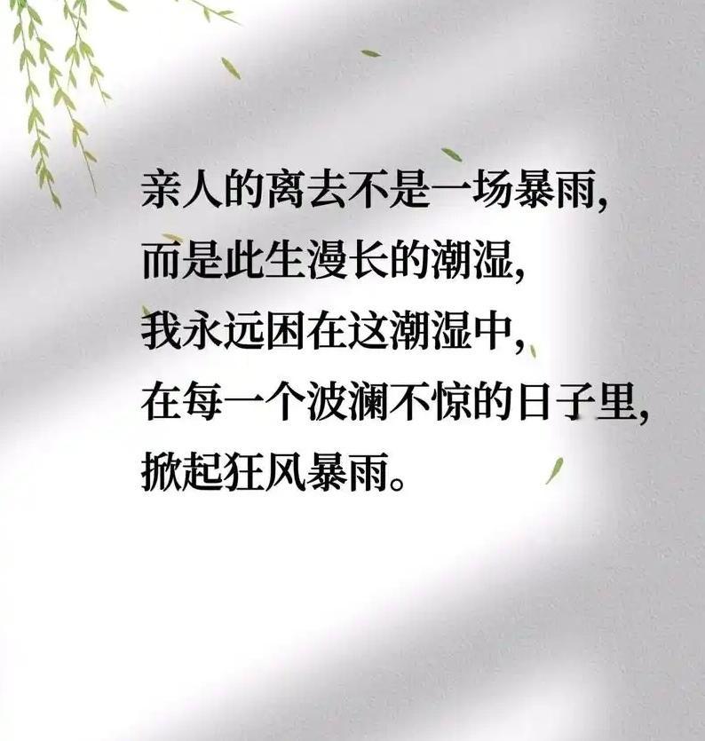终于懂了亲人离世是一生的潮湿后来才慢慢懂得，亲人离开并不是一阵暴风骤雨，而是一生