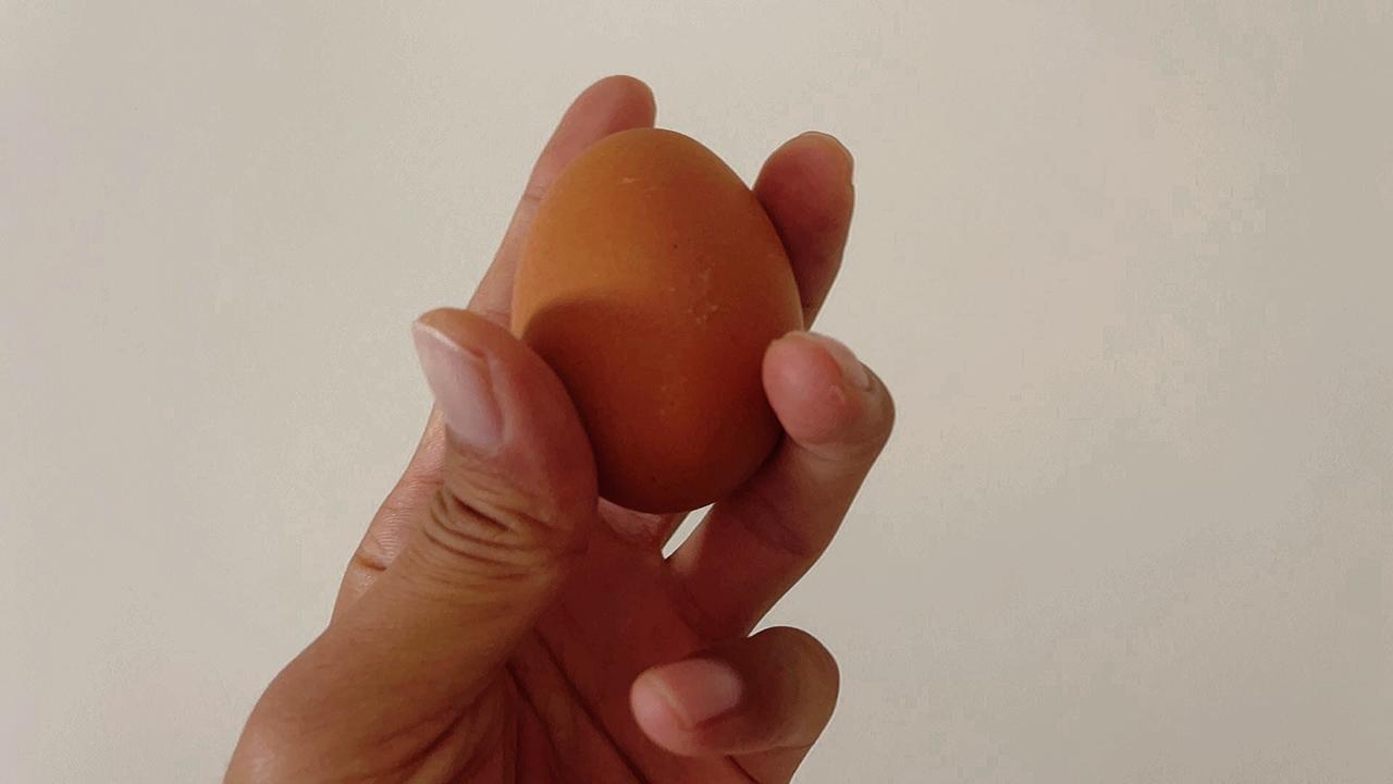 我是一个容易满足且自甘平庸的人，我喜欢过平凡而简单的生活，我向往悠闲自在田园牧歌