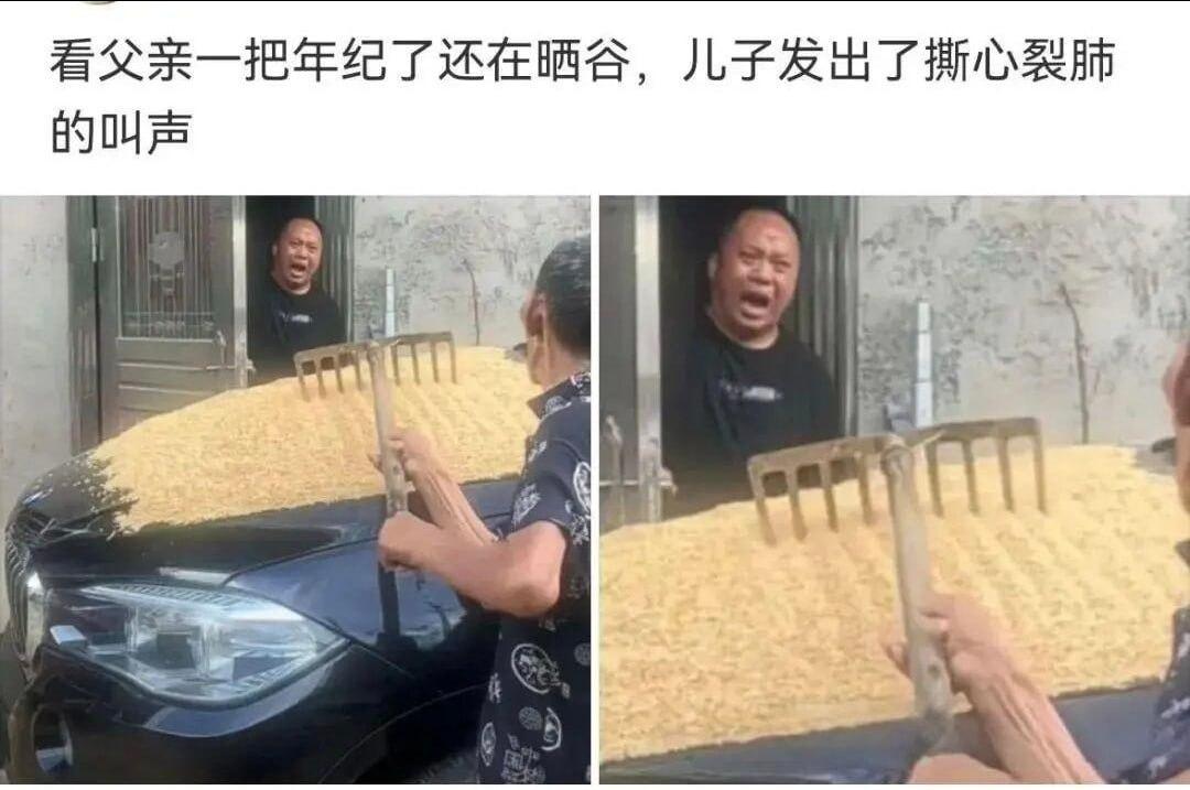 本以为是孝顺儿子心疼年迈父亲干农活，走近一看直接反转。
老爷子拿着木耙，把满满一