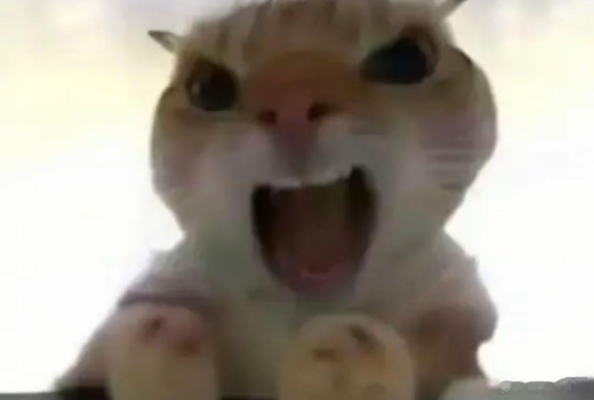 上班让我感到最可怕的地方是啊，现在就遇到了职场悖论:想着周一到周五赶紧过去，可是