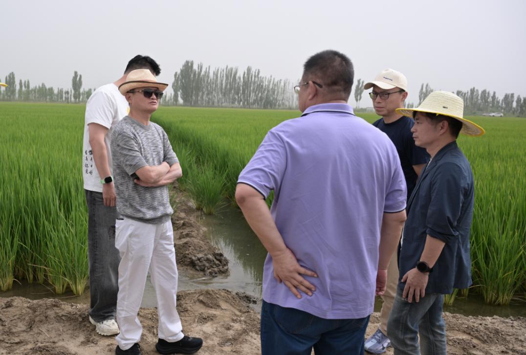 马云现身甘肃民勤，探访西北荒漠化治理！

据悉，这次马云亲自实地探访，核心目的不