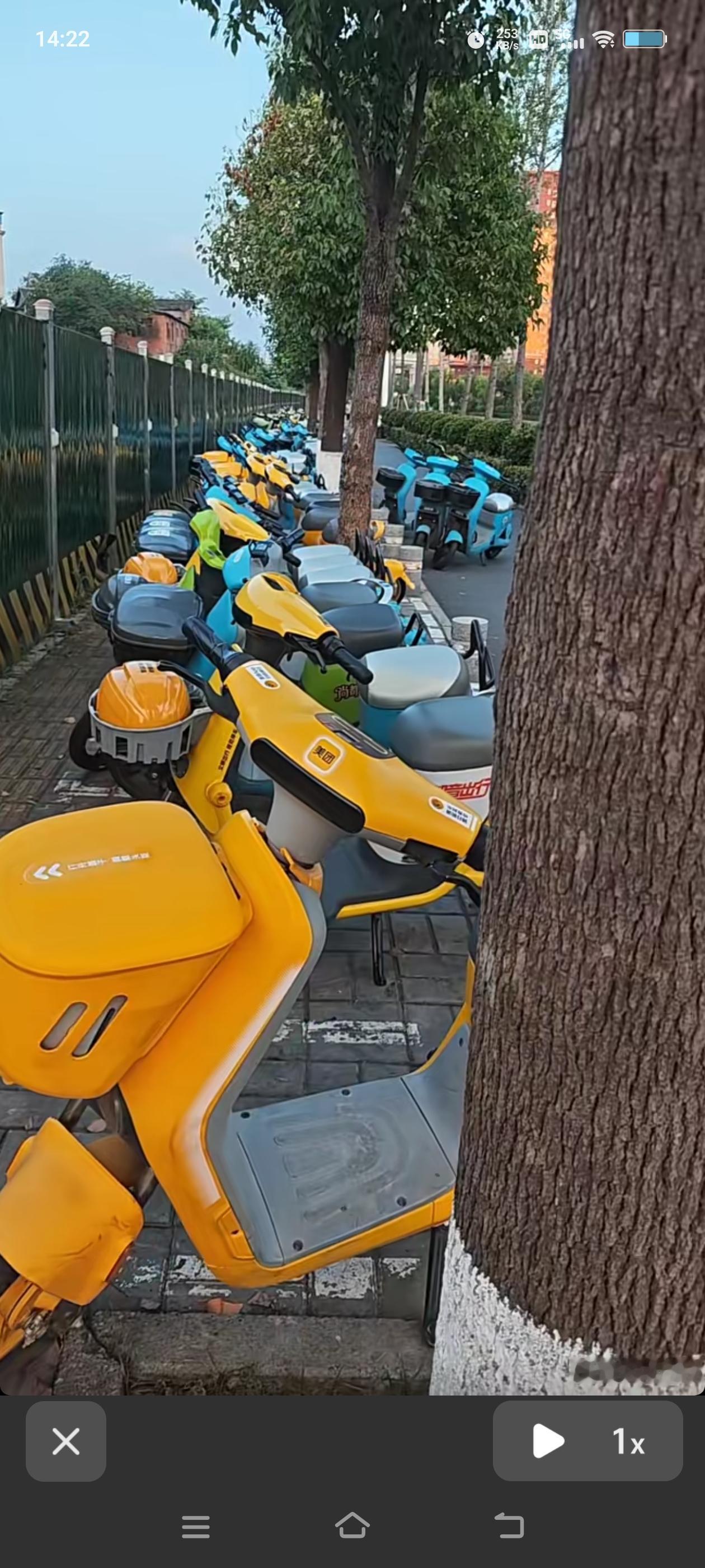 安康街头现五颜六色的共享单车，小黄、小蓝、小绿、小桔似乎都有了，市民交通出行更方