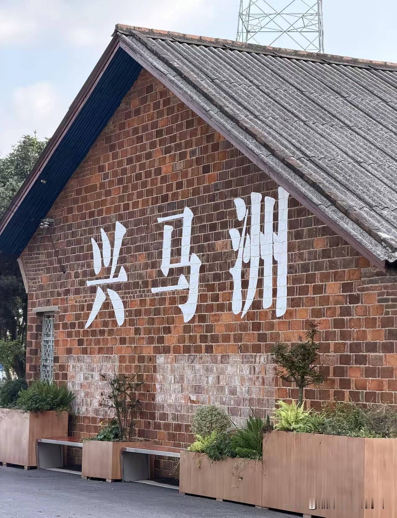 打卡长沙兴马洲，真的撞进了满溢的怀旧年味里。
从天心区轮渡码头赶第一班轮渡上岛的