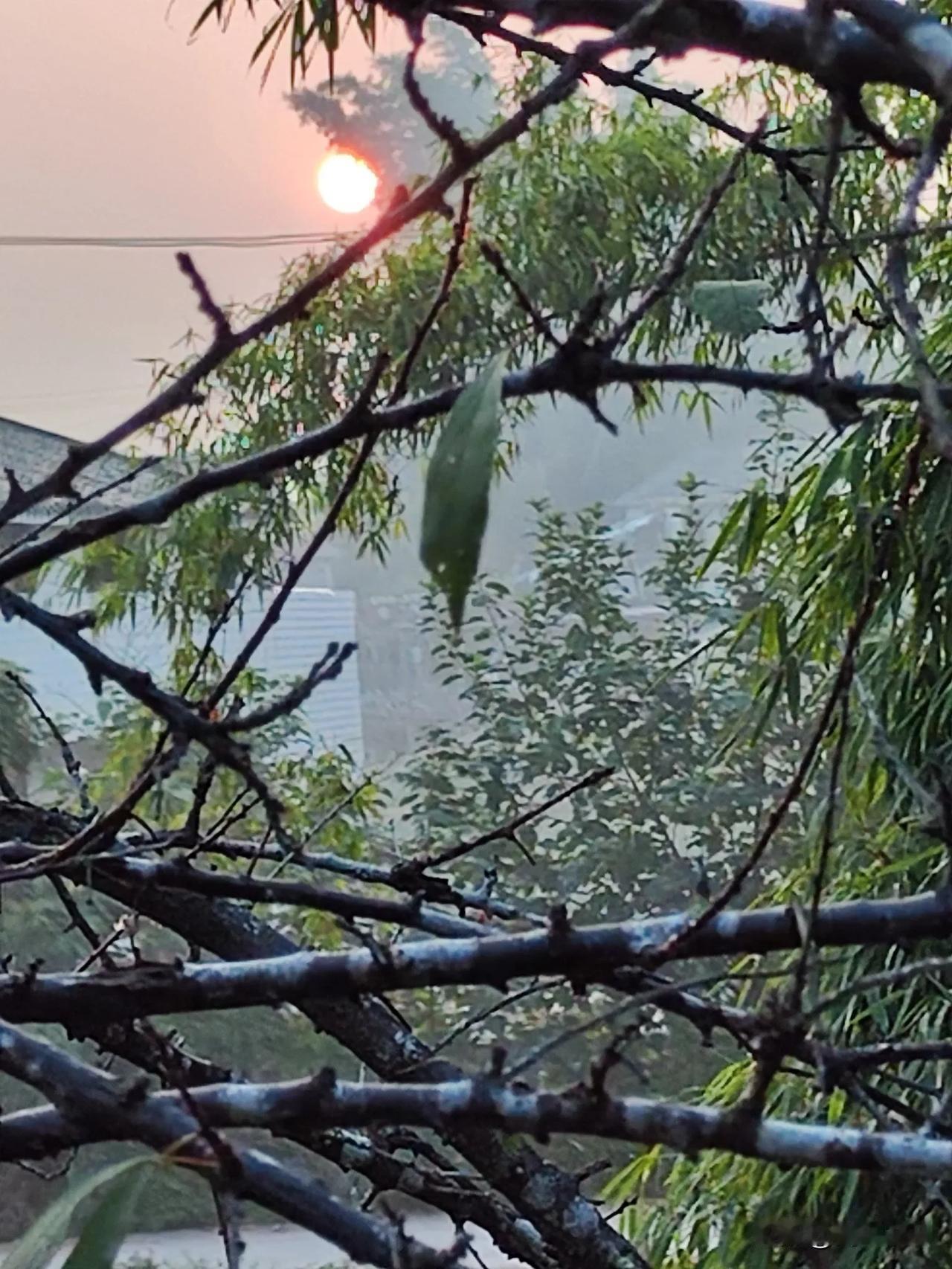 吃点好的，在自贡吃辣子兔，看灯会，走盐道，体会盐井提水的轰轰烈烈……访凉高山牌坊