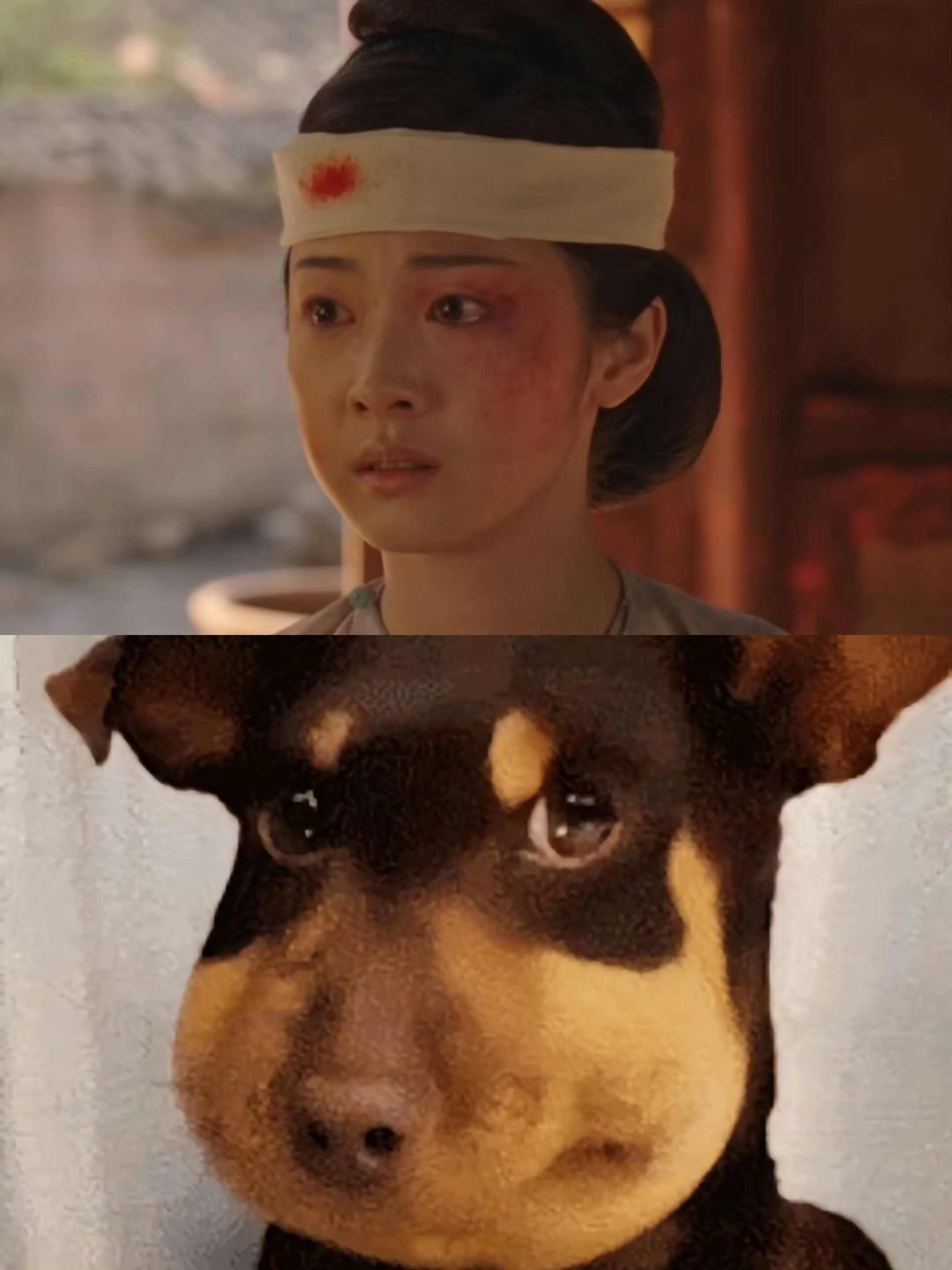 哈哈哈哈哈哈哈是谁说像蜜蜂小狗的哈哈哈笑不活了 