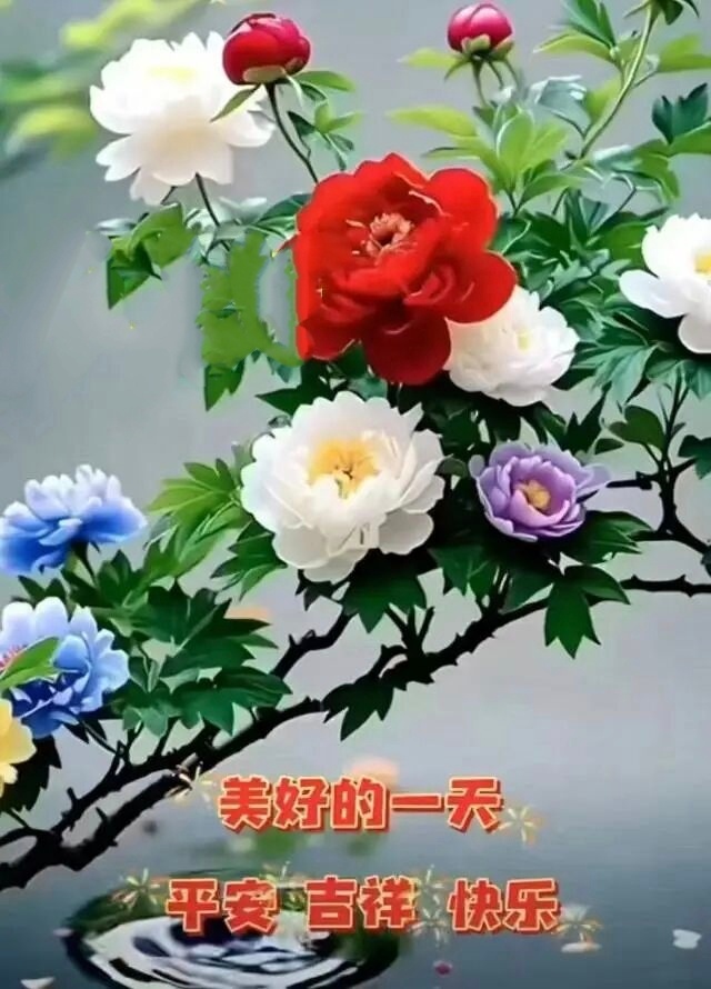 【分清“人生优先级”，很多事就顺了】有时候，你觉得脚步有些慢、走得有些累，可能只