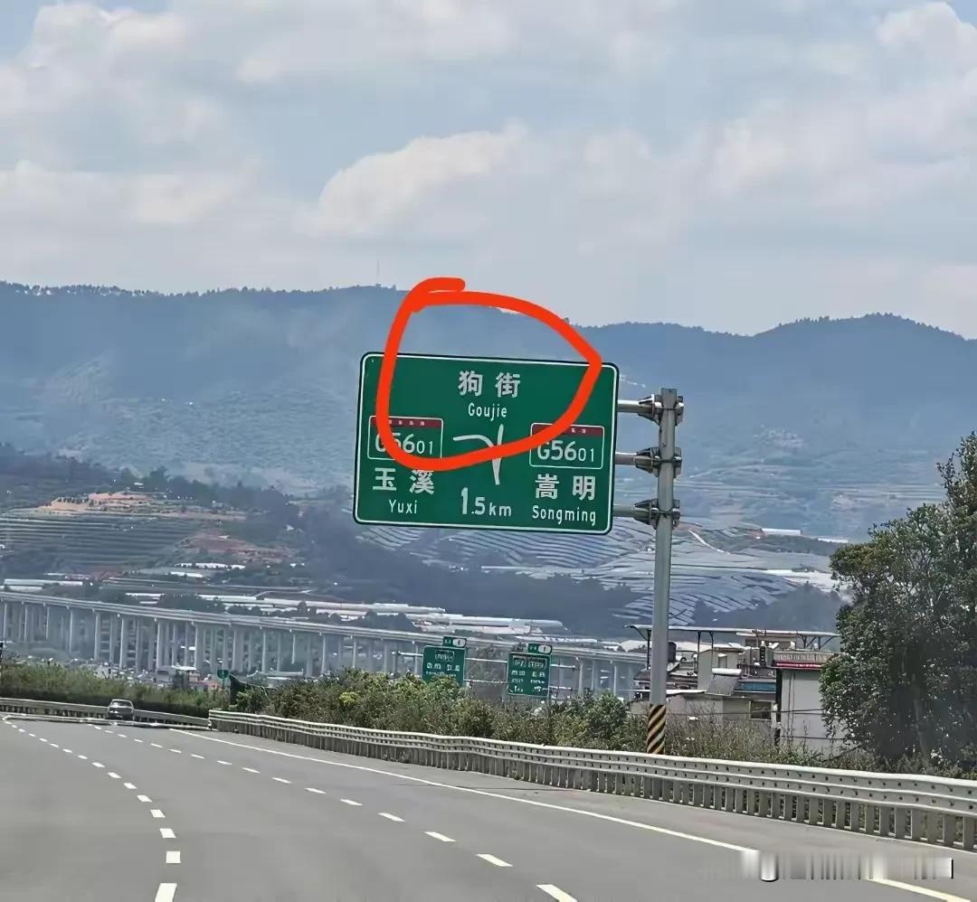 既然有了狗街，是不是就会有鸡街、羊街、牛街……？