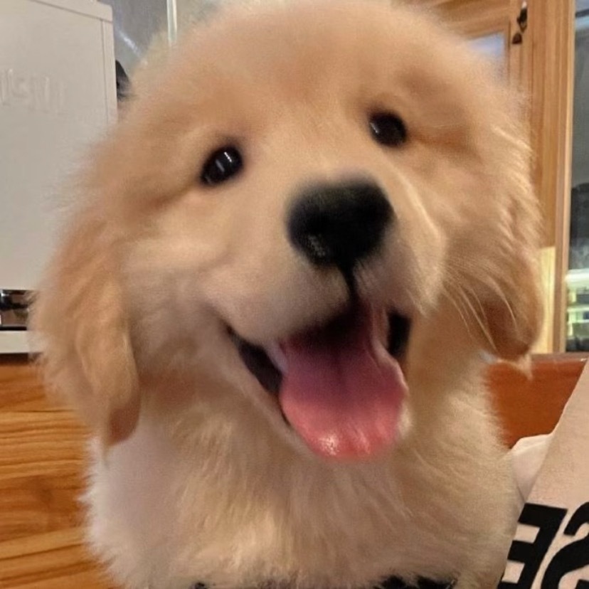 狗确实可以感觉到人的情绪 介可素小金毛诶！！小天使！！ 