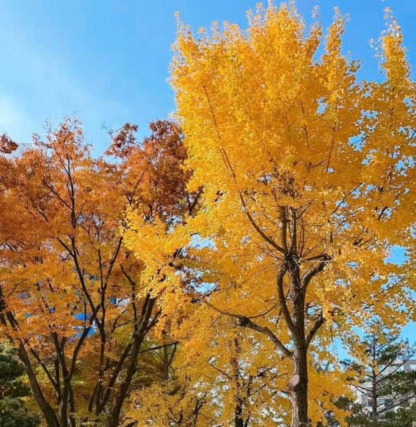 同事冲动辞职后啃老借钱
说早该存钱

挣钱是往前冲的力量
存钱是往后退的缓冲
