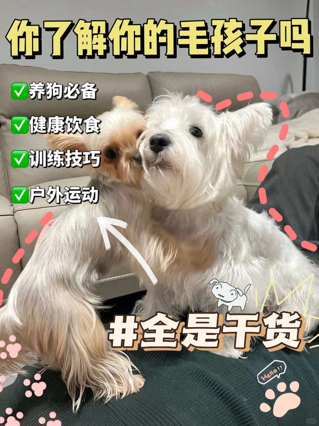 狗狗幸福生活秘籍：养狗干货大公开！