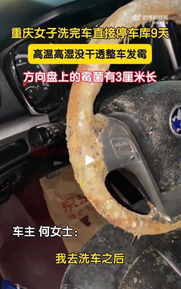 长霉菌还不算最离谱的，我见过长蘑菇的，那才是震撼的场面。高温高湿的地方就是这样，