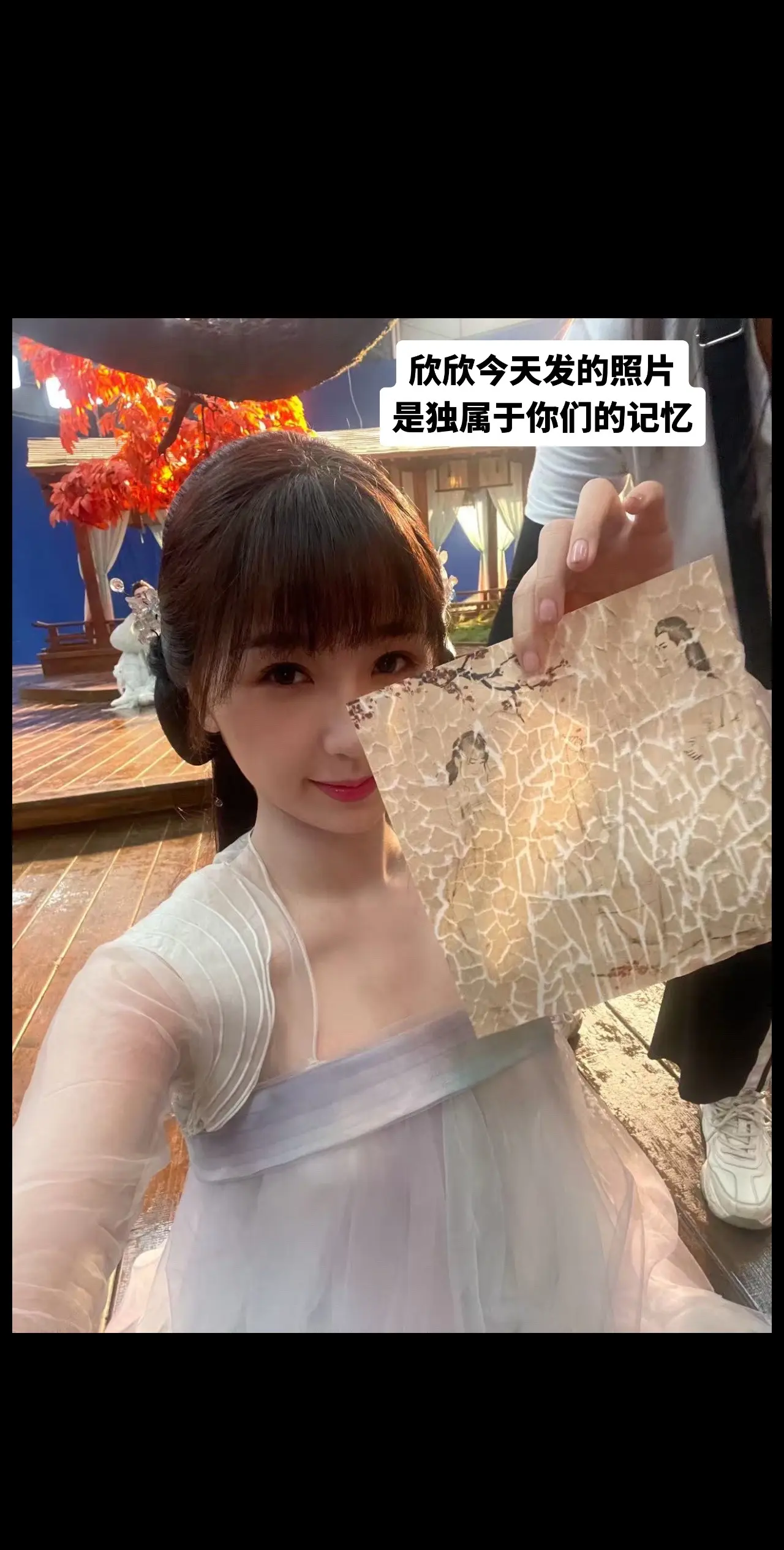 这张照片告诉我们了..？