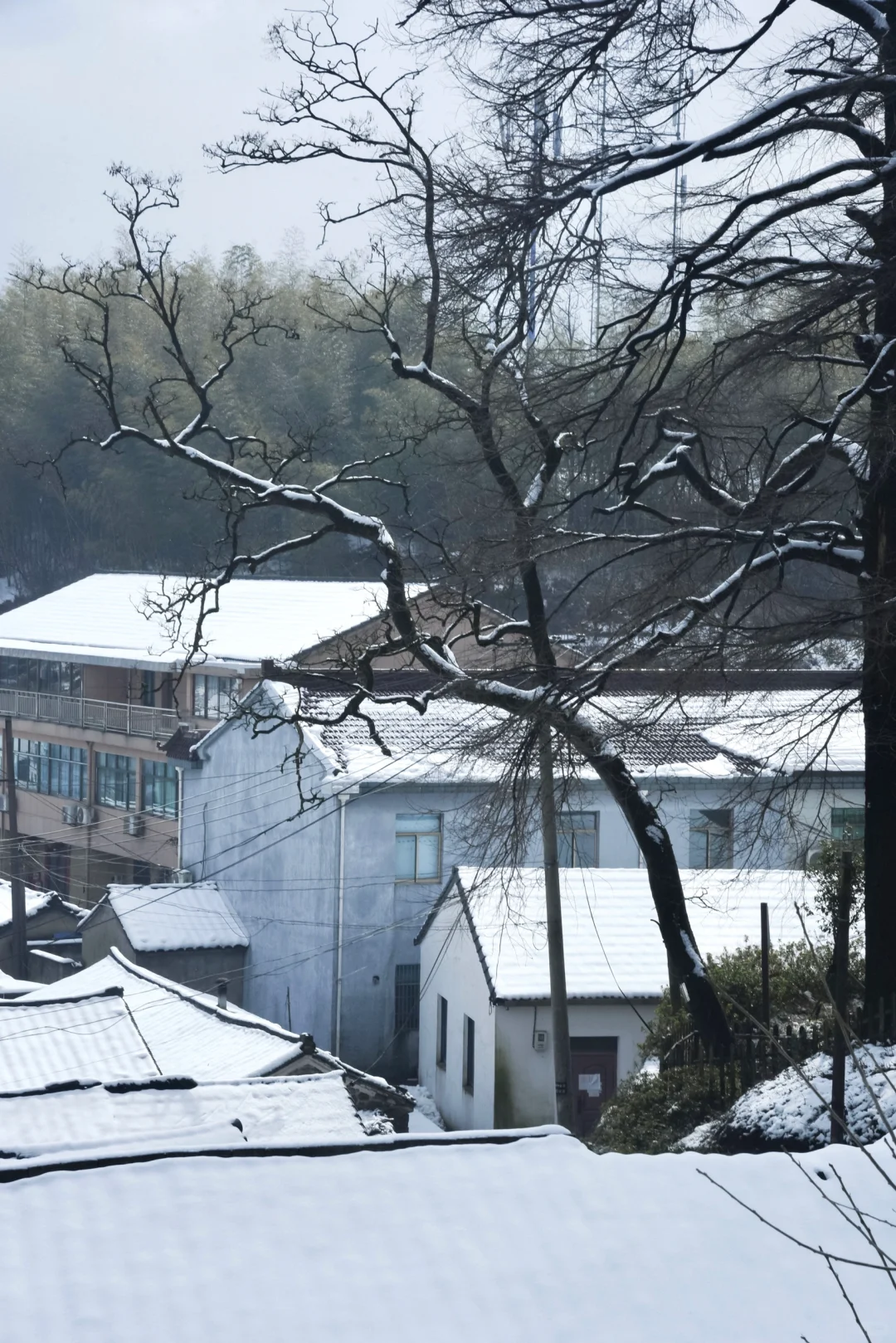 雪中四明山：天寒白屋贫的唐诗意境