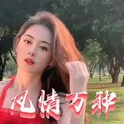街景好惬意，城夏正明朗。