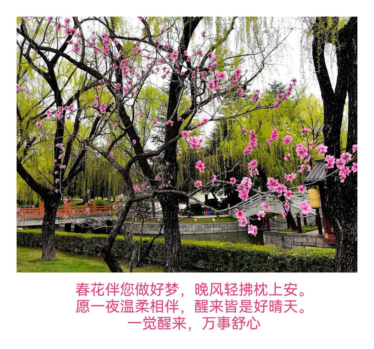 张政委摄影与诗作欣赏❤️❤️