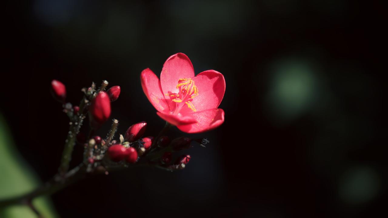 煎熬到一定程度很自然会放下，
你会踏入一个新的境地，
无爱无恨，也无牵挂，
才发