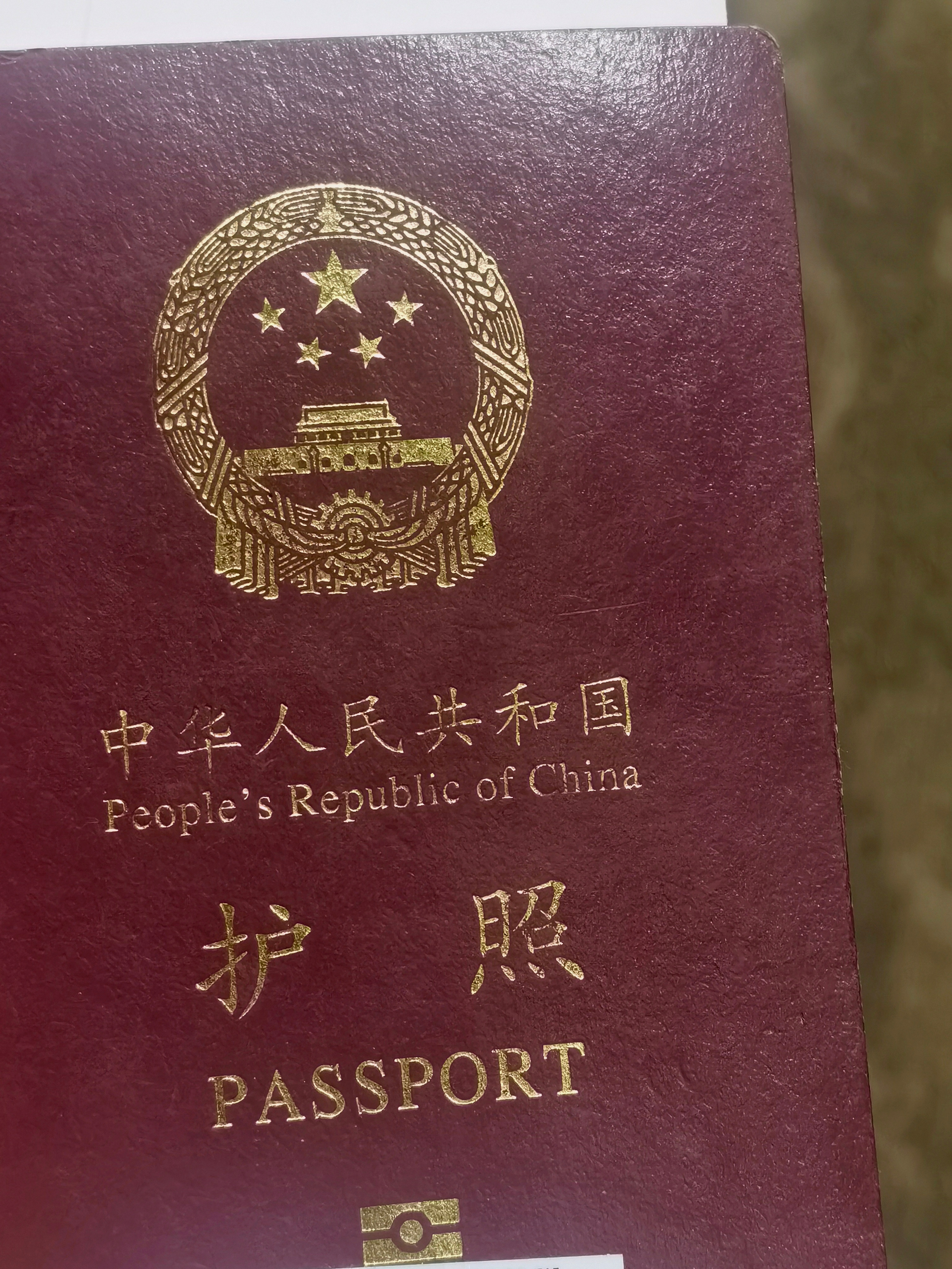 又要出发咯🐼 上海·上海浦东国际机场